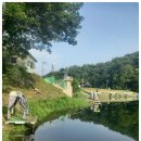 [출조후기] [배스] 2026. 6. 30 상천낚시터