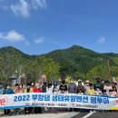 부항댐생태휴양펜션 이미지