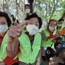 (주)금강케어 이미지