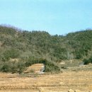 함창 오봉산 고분군 이미지