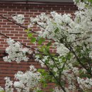 양지마을2길 이미지