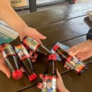 에이스펜션 이미지