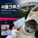 서울애견 | 서울크루즈 여의도 크루즈 한강 유람선 애견동반 서울 한강데이트 후기