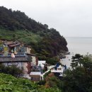 동백쉐이리 이미지