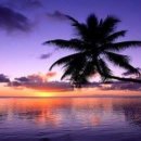 야자수하우스 이미지