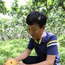 배들농장 이미지