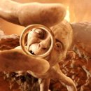 강남-092 | W7. 종로 결혼반지 투어 후기｜공방301 돌담 반지 계약 (+아크레도·센슈얼링 가격 비교)