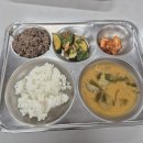 대구장애인자립협회 | 🏅 2026년 제17회 대구스페셜올림픽코리아 영남지역대회 현장 후기 🏅