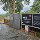 제주 서귀포 정방폭포 | 제주 서귀포 정방폭포 이른 아침 방문기_고요함 속에서 만난 절경