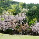 계룡로13길 이미지