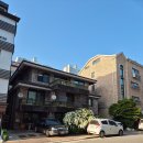 빠방세차 용인점 | 용인 공조팝나무 명소로 우연찮게 발견한 곳!