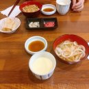 스시초이 티스토리