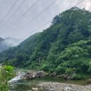 중산리(탁영뢰) 이미지