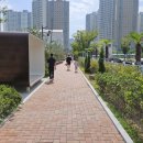 중앙초등학교  주변 이미지