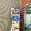 농다리 | [충북 진천]🪨 진천 농다리스토리움 다녀온 후기 (주차팁 포함)｜진천 농다리 축제 전 미리보기 | 진천 벚꽃