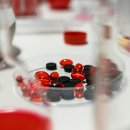 서울대학약국 이미지