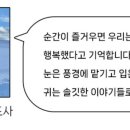 수연투어
