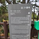 제주 서귀포 쇠소깍 이미지