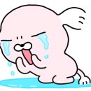 다온수산질병관리원&검역관리사무소