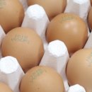 호양농장 이미지