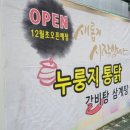 오픈닥트 이미지