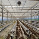 광현농장 이미지