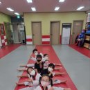 경희대 비트짐 태권도 이미지