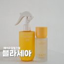 봄날코스메틱 | 헤어오일컬크림 블라세아 비타민 헤어에센스와 헤어디펜스 에센스 손상모케어 후기