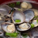 하동재첩 섬진강 이미지