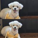 26년 5월 신혼부부일상, 바쁘고 배불렀던 한달을 보내며