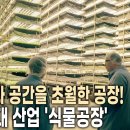 차세대산업 식물공장 - 이미지