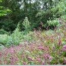 송죽농장 이미지