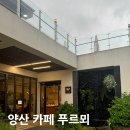 충렬로 | [양산] 카페 푸르뫼 후기 | 조용한 분위기, 오래 머무르기 좋은 곳 (부분 애견동반카페)