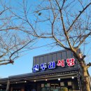 초원민박 | 태안 신두리식당) 신두리 해안사구 나들이, 서해안 바지락칼국수 맛집, 조개구이맛집 신두리식당