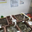 [청량리 다퍼줘]경동시장 가성비 횟집 산낙지 모듬회 후기