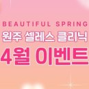 셀레스의원 이미지