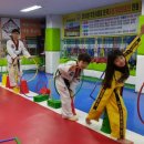행복한 삼성태권도장 이미지