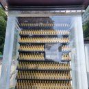 웰빙크리닝 이미지