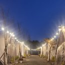 계룡애견 | 대전에서 15분, 이렇게 조용한 힐링이 가능하다니계룡 별마루 캠핑장 1박 2일 자매 여행 후기