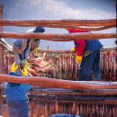 황태마을 이미지