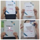 황후핏