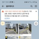 셀리케이크