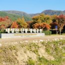 내장산 단풍생태공원 이미지