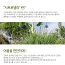 아로마스토리 이미지