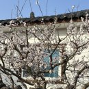 배진우 피아노 리사이틀 이미지