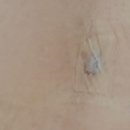 맑고고운라벨라의원 이미지