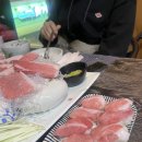 효탄新참치