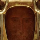 베로니카 이미지