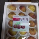 덕곡주유소 이미지