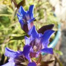 연기나는 굴뚝 이미지